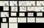 All twenty-two RL Lab trials advancing on one clock All twenty-two RL Lab trials advancing on one clock