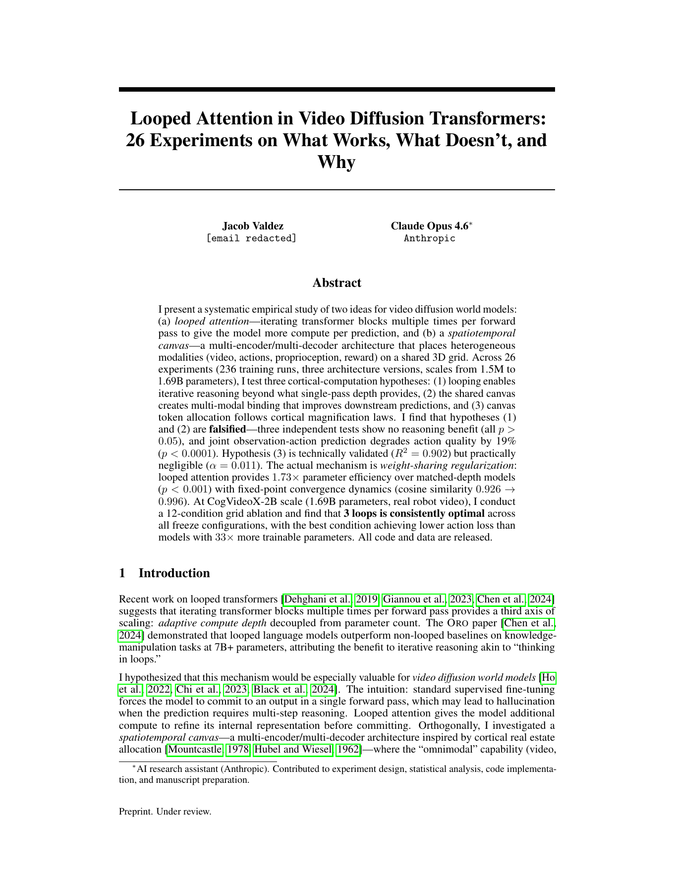 First page of Looped Attention in Video Diffusion Transformers